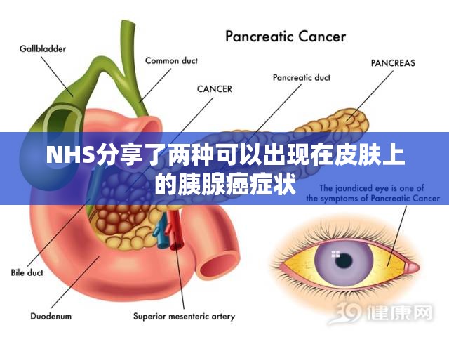 第191页