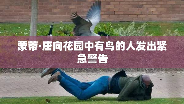 蒙蒂·唐向花园中有鸟的人发出紧急警告