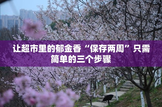 让超市里的郁金香“保存两周”只需简单的三个步骤